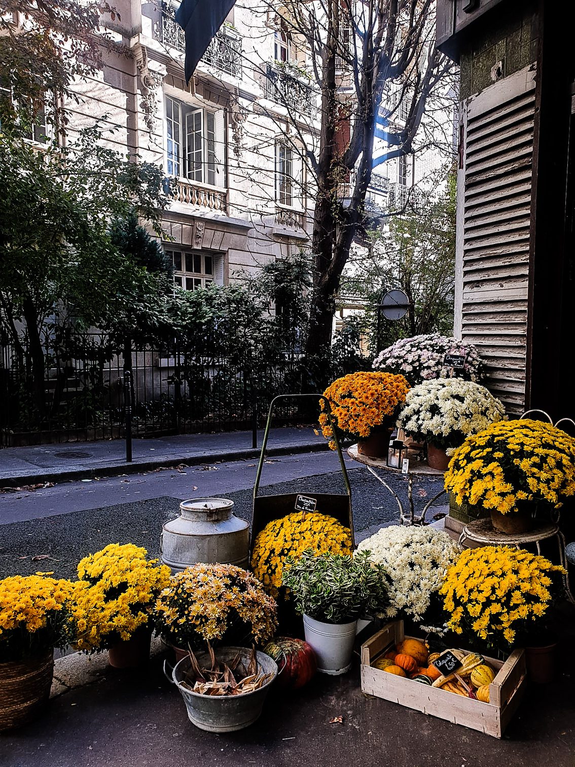 Chrysanthèmes et paniers devant la boutique de l’avenue Mozart