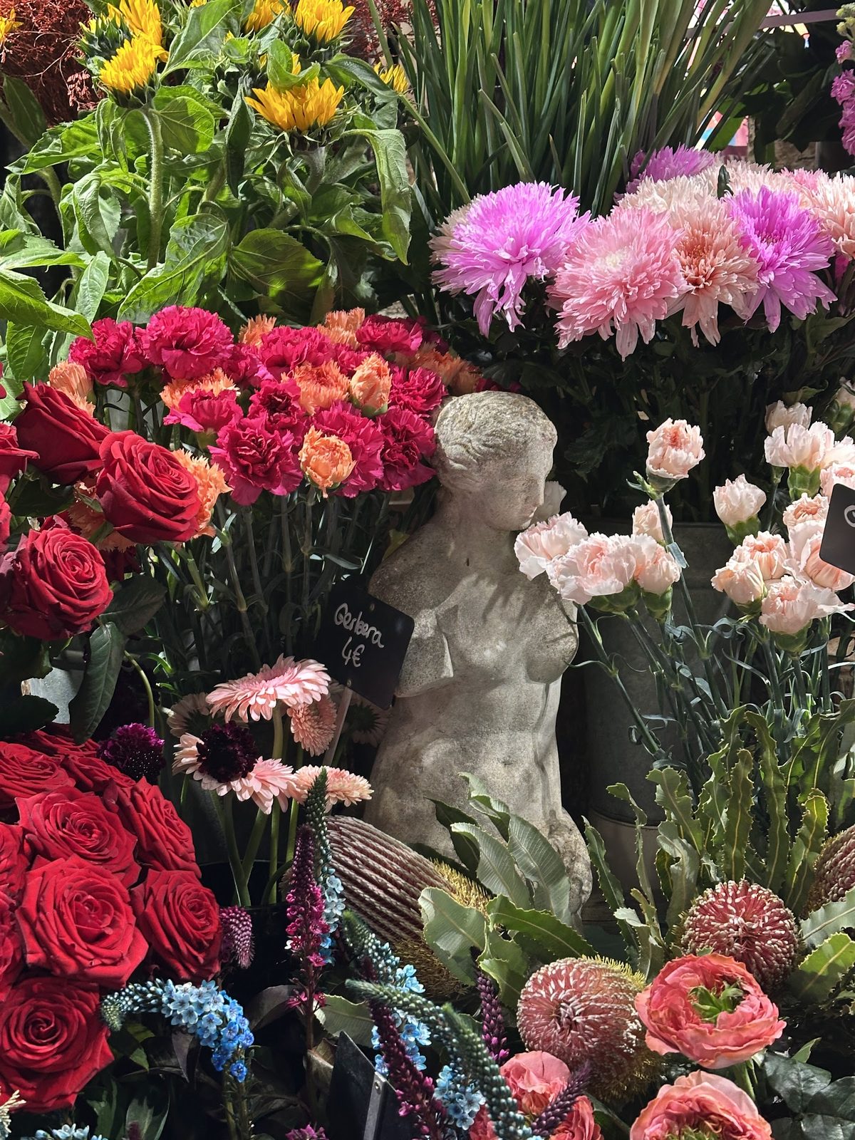 Roses, dahlias et œillets sur l’étal, autour du buste de pierre