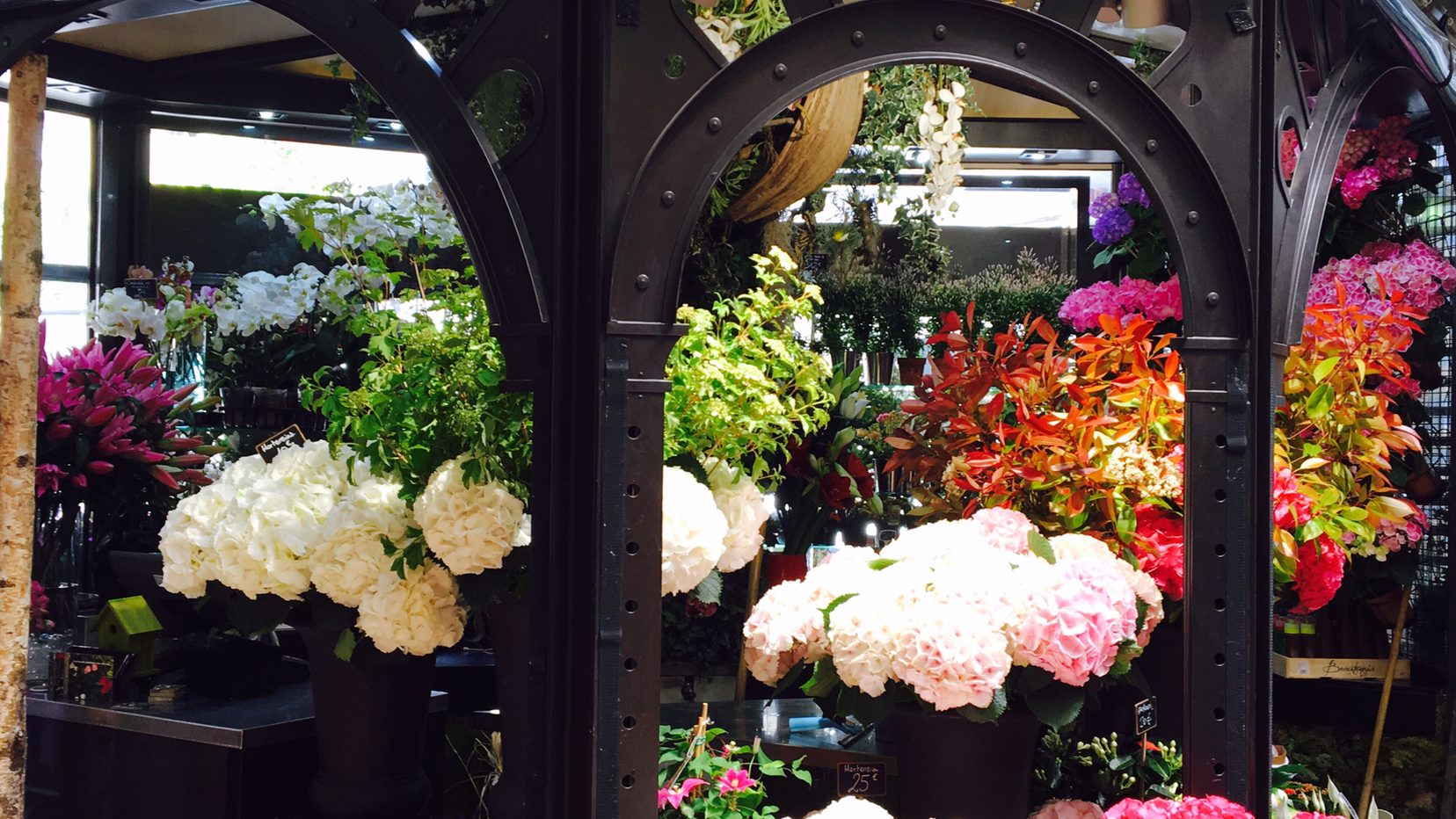 Le banc de fleurs du Marché aux Fleurs, sous le marché couvert de Passy