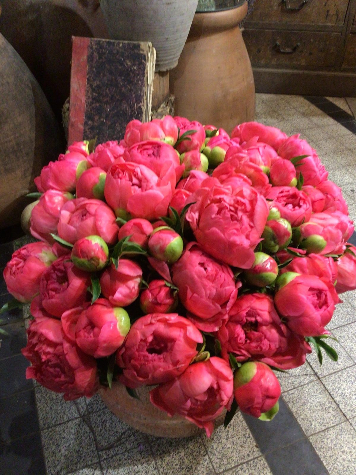 Brassée de pivoines corail